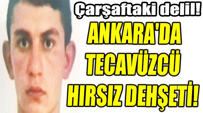 ANKARA'DA  TECAVZC  HIRSIZ DEHET!