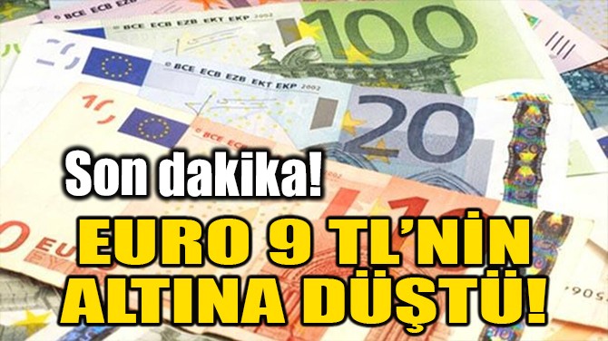 EURO 9 TL'NN ALTINA DT!