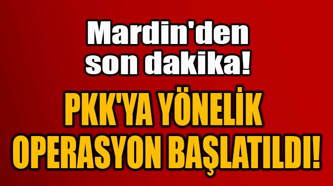 PKK'YA YNELK  OPERASYON BALATILDI!
