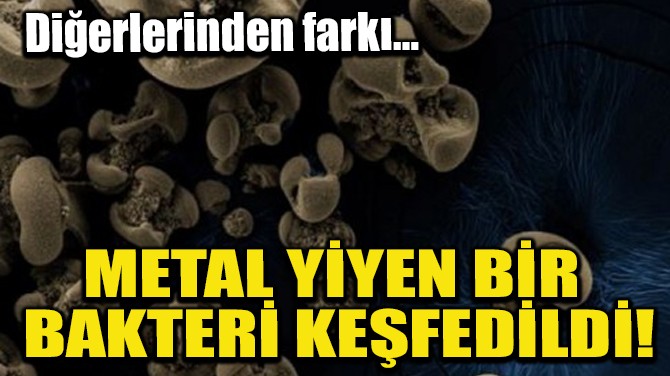 METAL YYEN BR BAKTER KEFEDLD!