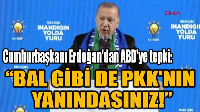 BAL GB DE PKK'NIN  YANINDASINIZ!