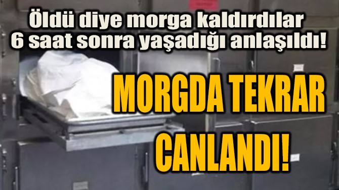 MORGDA TEKRAR  CANLANDI!