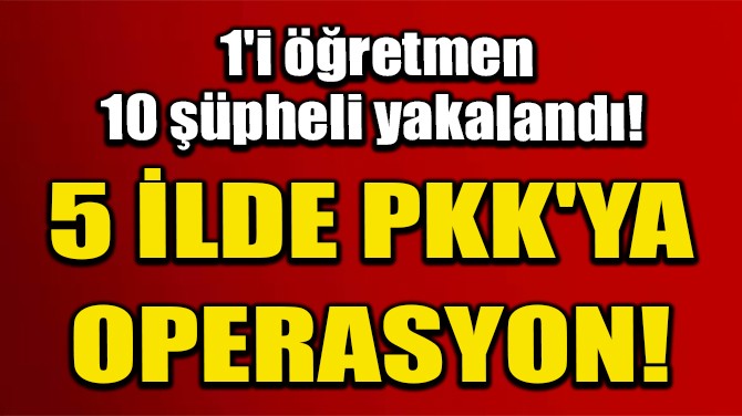 5 LDE PKK'YA OPERASYON; 1' RETMEN 10 PHEL YAKALANDI