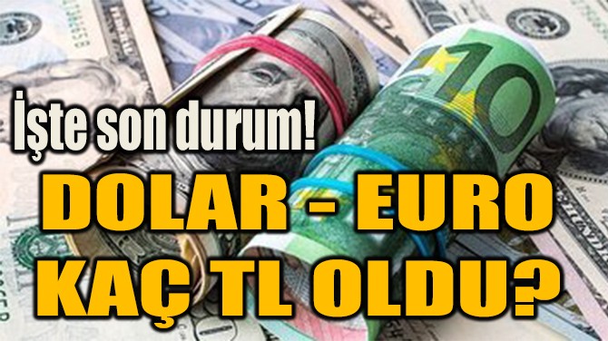 DOLAR - EURO  KA TL OLDU? 
