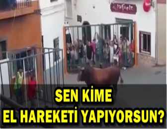 KAFESİN DEMİRLERİNİ KIRIP BOYNUZLADI!..