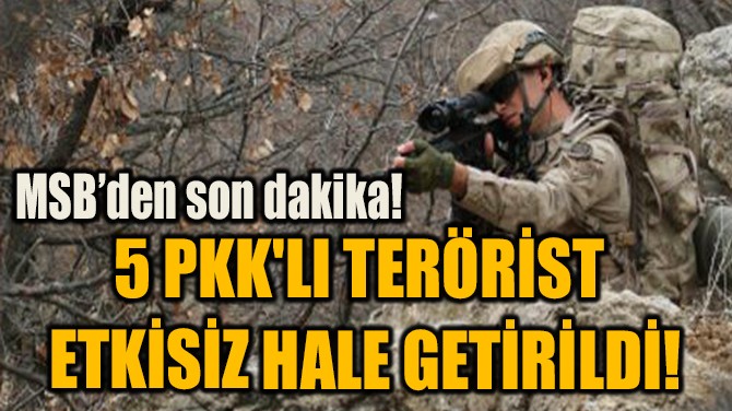 5 PKK'LI TERÖRİST  ETKİSİZ HALE GETİRİLDİ!