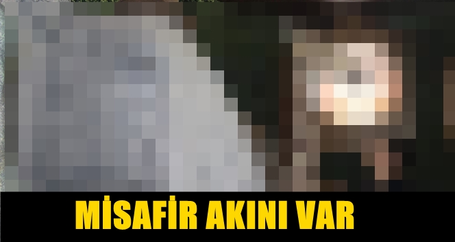 EVİNİ "TROPİKAT" ADINI VERDİĞİ  BOTANİK PARKA ÇEVİRDİ!..EV AFRİKA'DA Kİ  SAVANALARI ANDIRIYOR..