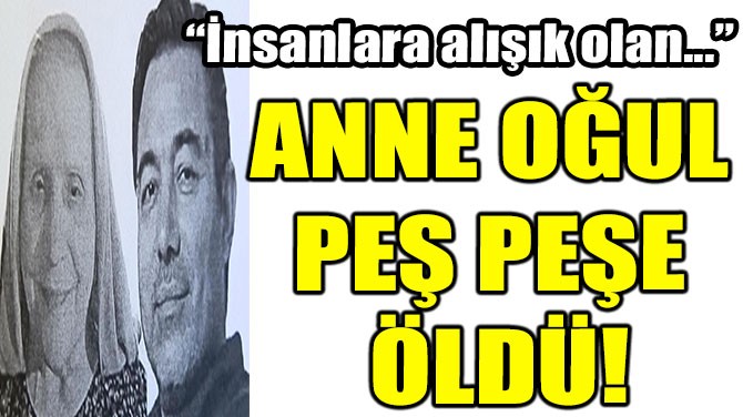 ANNE OUL PE PEE LD!
