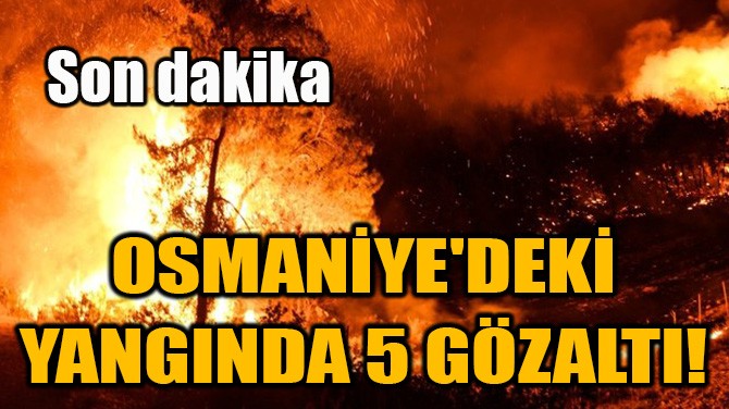 OSMANİYE'DEKİ YANGINDA 5 GÖZALTI!
