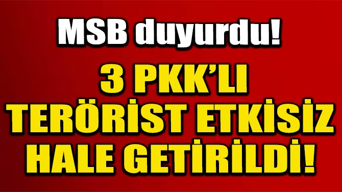 MSB DUYURDU! 3 PKK’LI TERÖRİST ETKİSİZ HALE GETİRİLDİ!