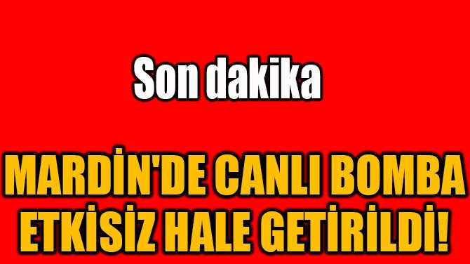 MARDİN'DE CANLI BOMBA ETKİSİZ HALE GETİRİLDİ! 