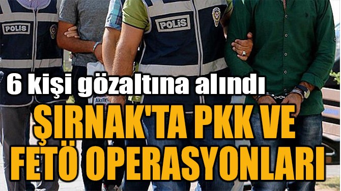 ŞIRNAK'TA PKK VE  FETÖ OPERASYONLARI 