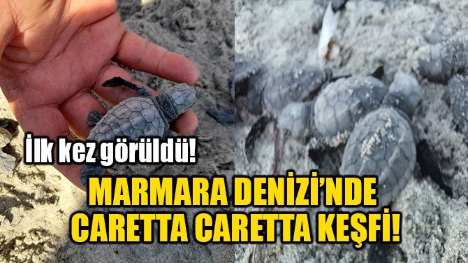 MARMARA DENZݒNDE CARETTA CARETTA KEF!
