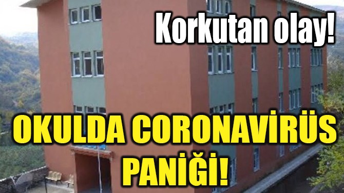 OKULDA CORONAVRS PAN!