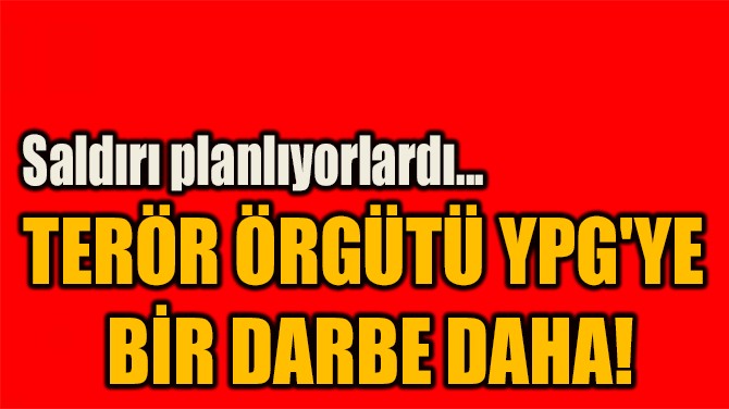 TERÖR ÖRGÜTÜ YPG'YE  BİR DARBE DAHA!