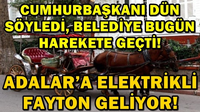 ADALAR'A ELEKTRKL FAYTON GELYOR!..