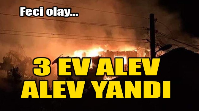 3 EV ALEV ALEV YANDI!