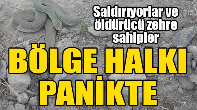 BÖLGE HALKI PANİKTE! 