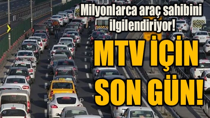 MTV N  SON GN!