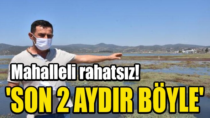 MAHALLELİ RAHATSIZ! 'SON 2 AYDIR BÖYLE'