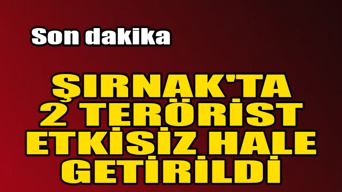SON DAKİKA! ŞIRNAK'TA 2 TERÖRİST ETKİSİZ HALE GETİRİLDİ!