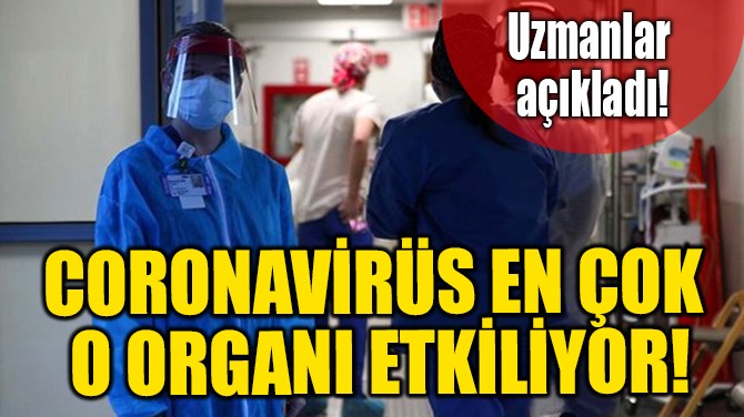 CORONAVRS EN OK  O ORGANI ETKLYOR!
