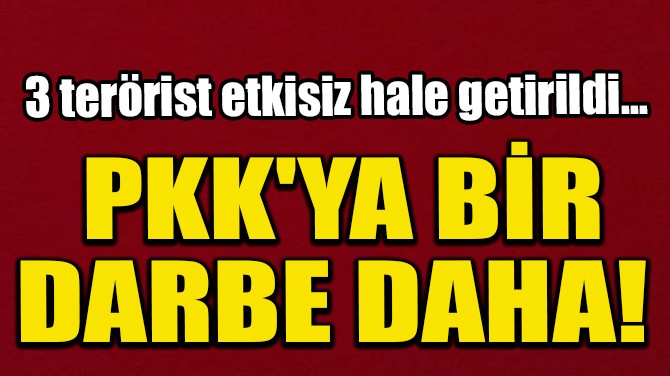 PKK'YA BİR DARBE DAHA! 