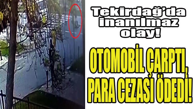 OTOMOBİL ÇARPTI, PARA CEZASI ÖDEDİ!