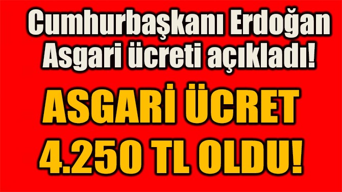 ASGARİ ÜCRET 4.250 TL OLDU! 