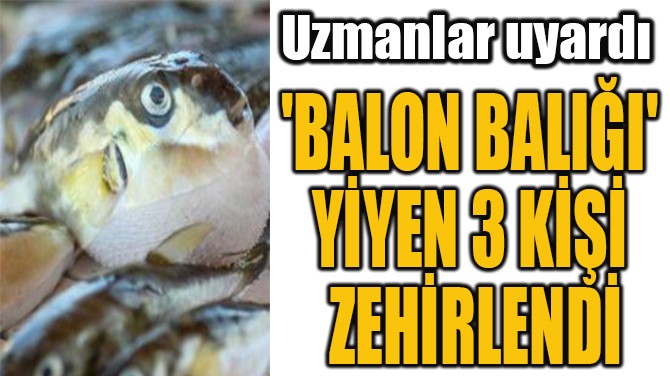 'BALON BALII'  YYEN 3 K  ZEHRLEND