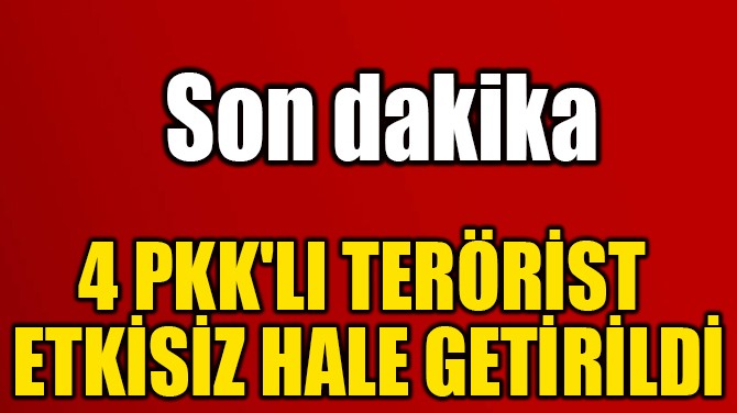 4 PKK'LI TERÖRİST  ETKİSİZ HALE GETİRİLDİ