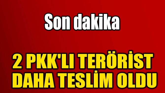 2 PKK'LI TERÖRİST  DAHA TESLİM OLDU 