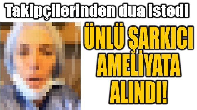 NL ARKICI  AMELYATA  ALINDI!