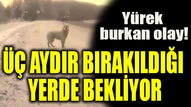  AYDIR BIRAKILDII  YERDE BEKLYOR