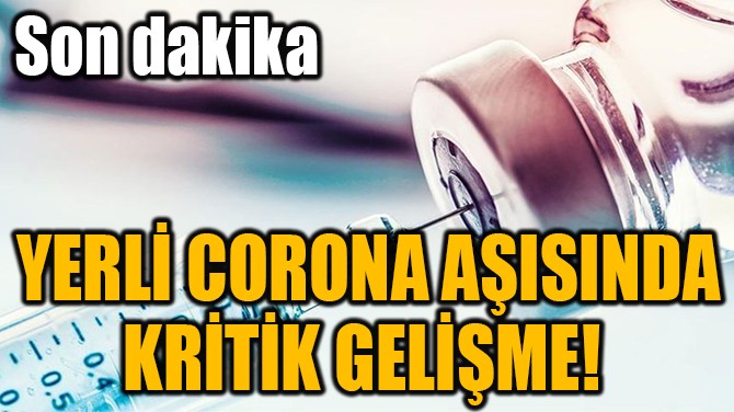 YERL CORONA AISINDA KRTK GELME! 