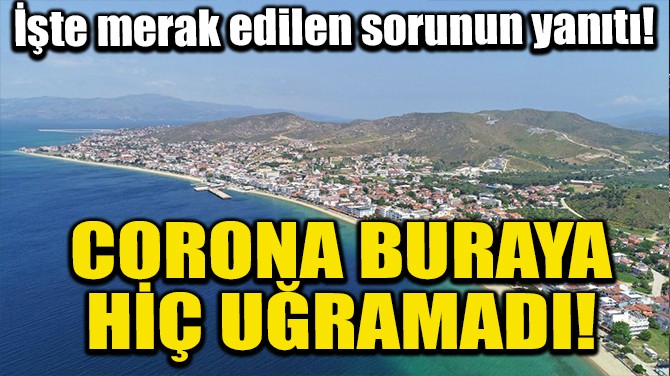 CORONA BURAYA H URAMADI