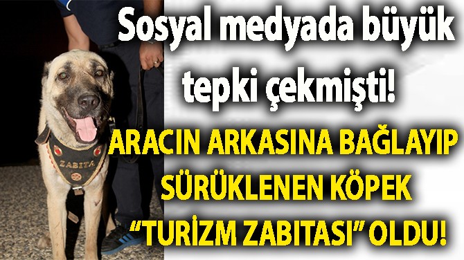 "ASLAN" KÖPEĞE "YOĞUN" İLGİ!