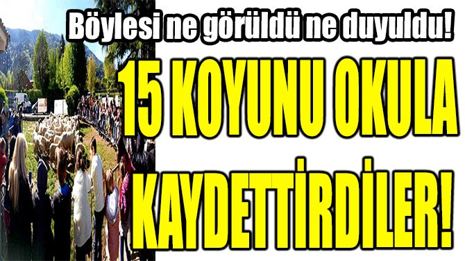 15 KOYUNU OKULA  KAYDETTRDLER!
