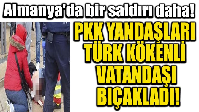 PKK YANDAŞLARI  TÜRK KÖKENLİ  VATANDAŞI  BIÇAKLADI!