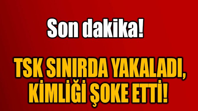 TSK SINIRDA YAKALADI, KİMLİĞİ ŞOKE ETTİ! 