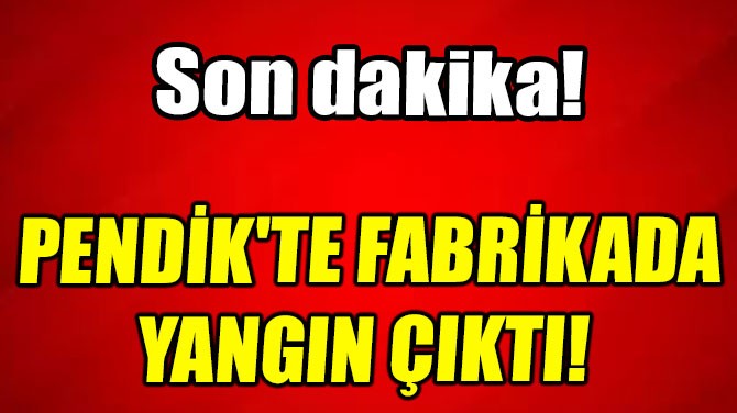 PENDİK'TE FABRİKADA  YANGIN ÇIKTI! 