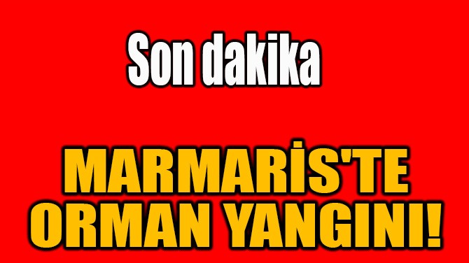 MARMARİS'TE ORMAN YANGINI!