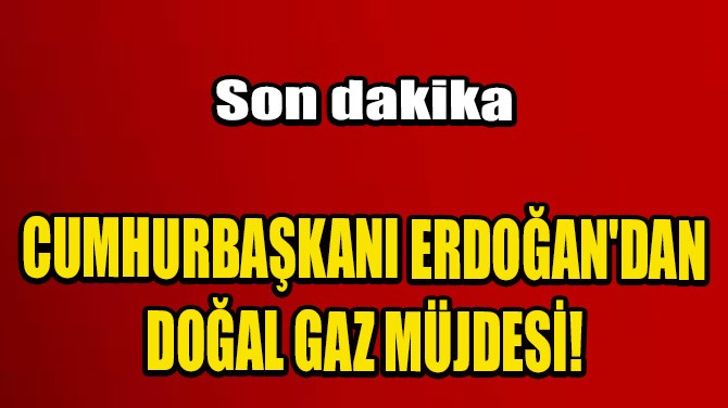 CUMHURBAŞKANI ERDOĞAN'DAN DOĞAL GAZ MÜJDESİ!