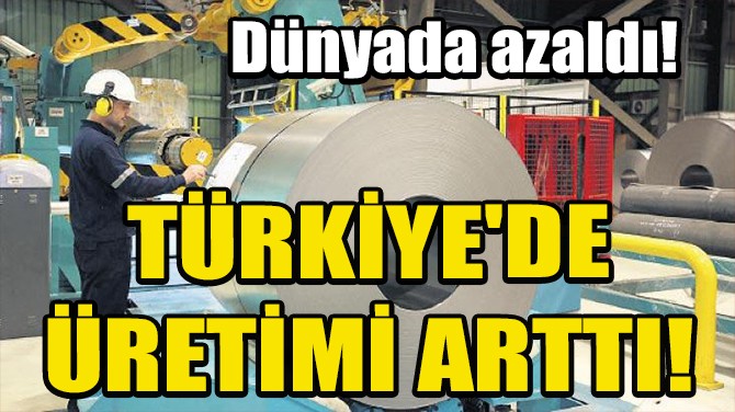 DÜNYADA GERİLEDİ, TÜRKİYE'DE ÜRETİMİ ARTTI