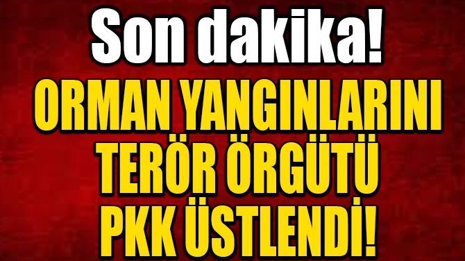 ORMAN YANGINLARINI  TERR RGT PKK STLEND! 