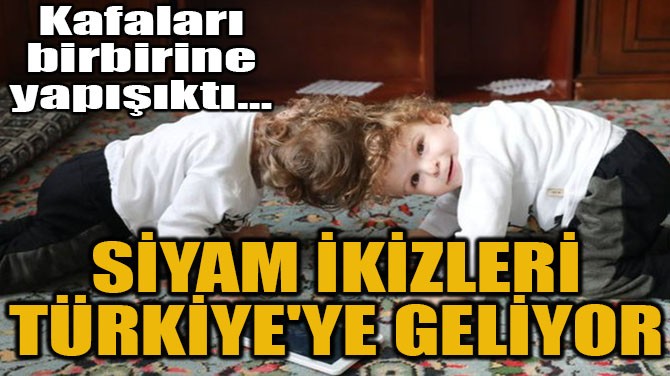SYAM KZLER TRKYE'YE GELYOR