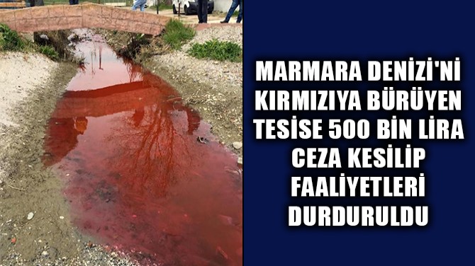 MARMARA DENİZİ'Nİ KIRMIZIYA BÜRÜYEN TESİSE 500 BİN LİRA CEZA...