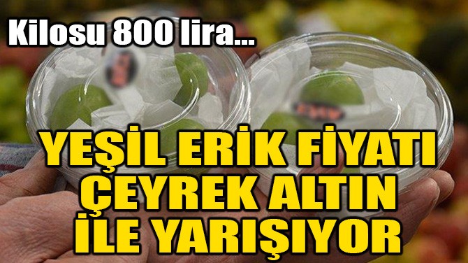 YEL ERK FYATI EYREK ALTIN LE YARIIYOR